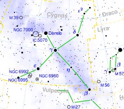 Cygnus.